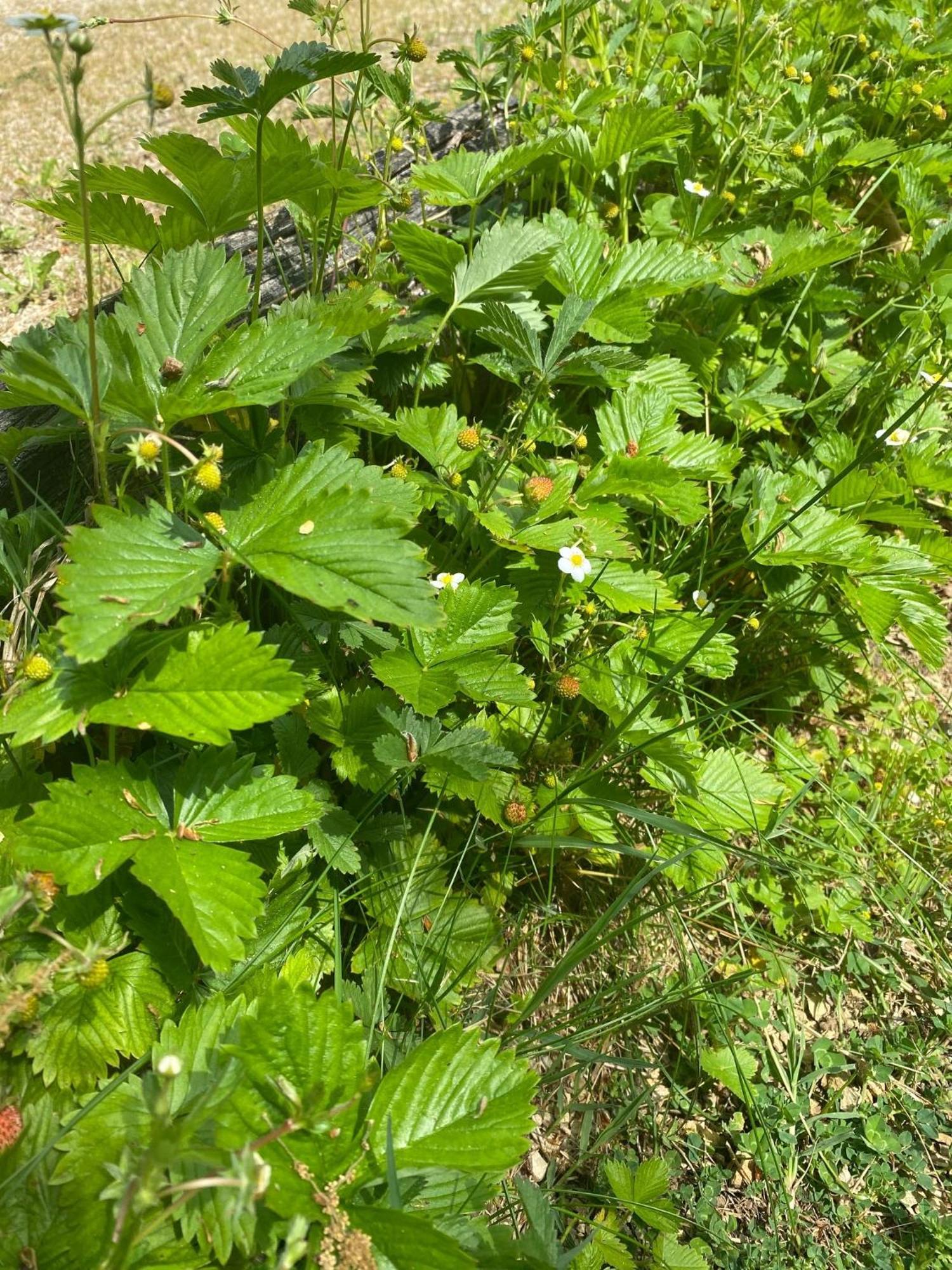 ArchignacLa Truffiere Du Vignou别墅 外观 照片
